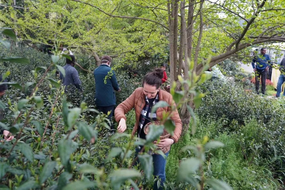 动漫色情片